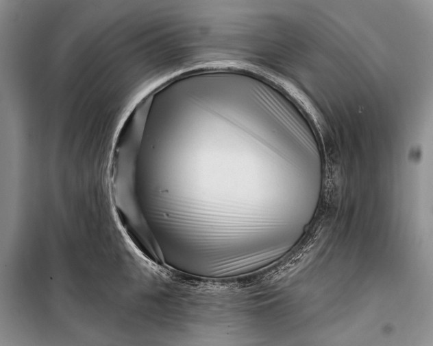 X0000100210951200806131249