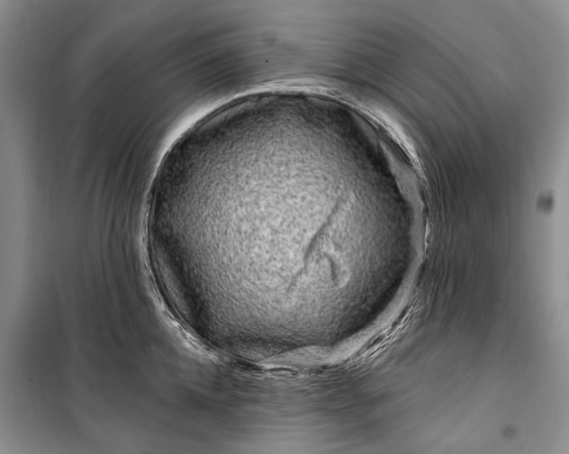 X0000100210952200806131249