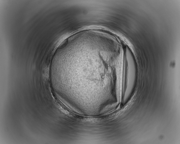 X0000100210953200806131249