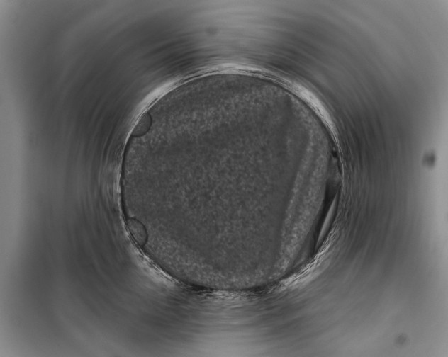 X0000100210954200806131249