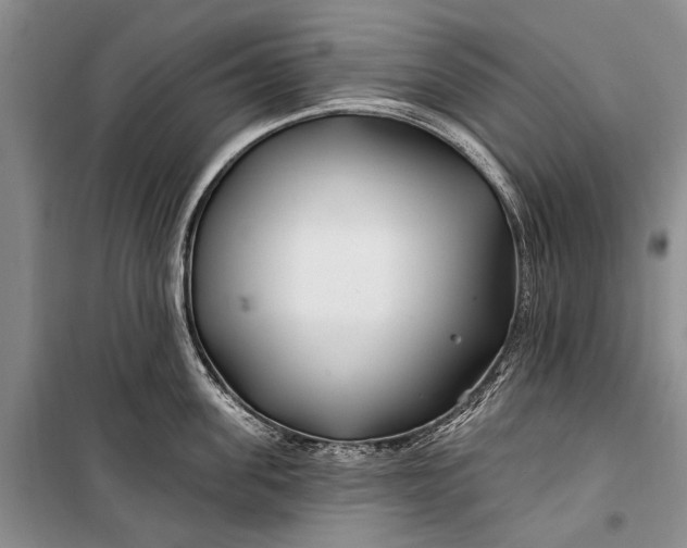 X0000100210955200806131249