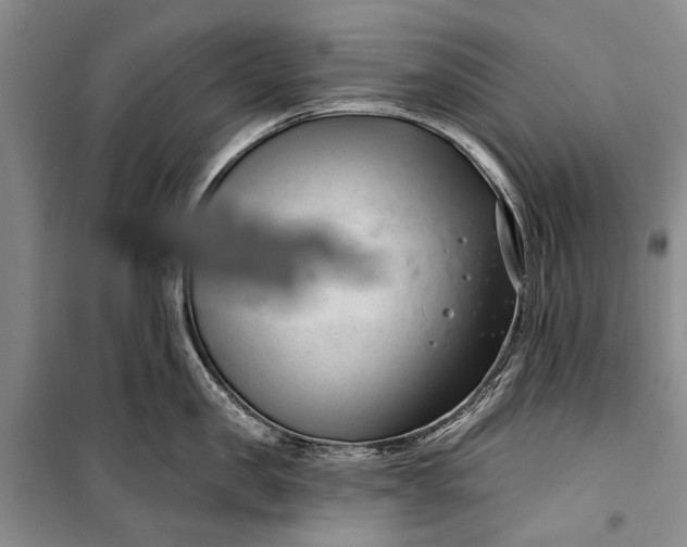 X0000100210957200806131249