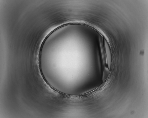 X0000100210959200806131249