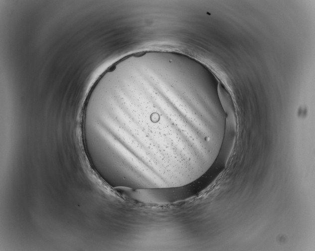 X0000100210960200806131249