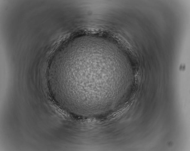 X0000100210961200806131248