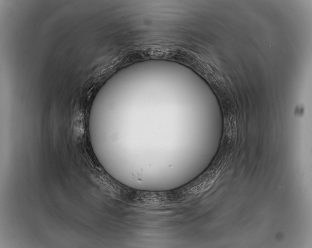 X0000100210962200806131248