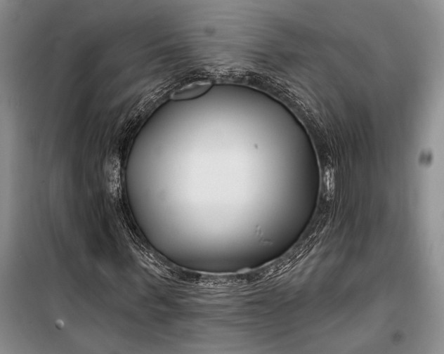 X0000100210963200806131248