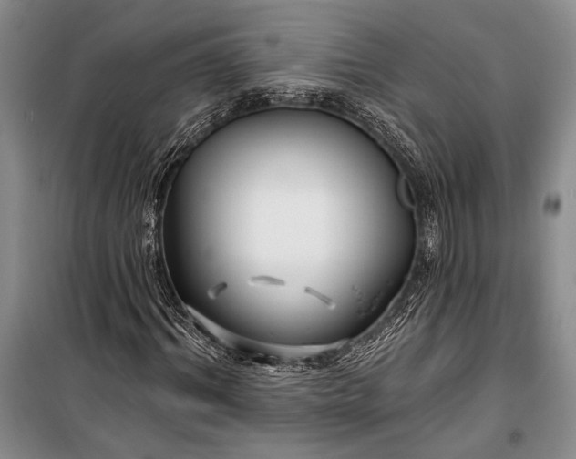 X0000100210964200806131248