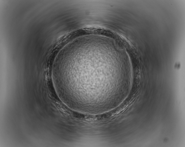 X0000100210965200806131248