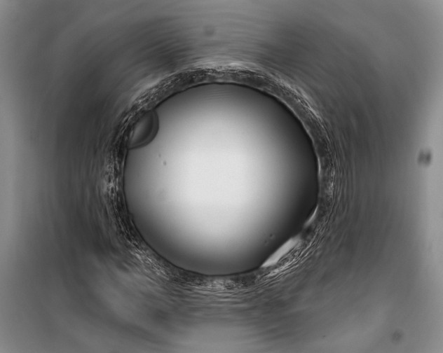 X0000100210966200806131248