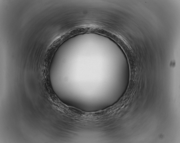 X0000100210967200806131248