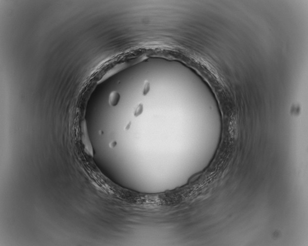 X0000100210968200806131248