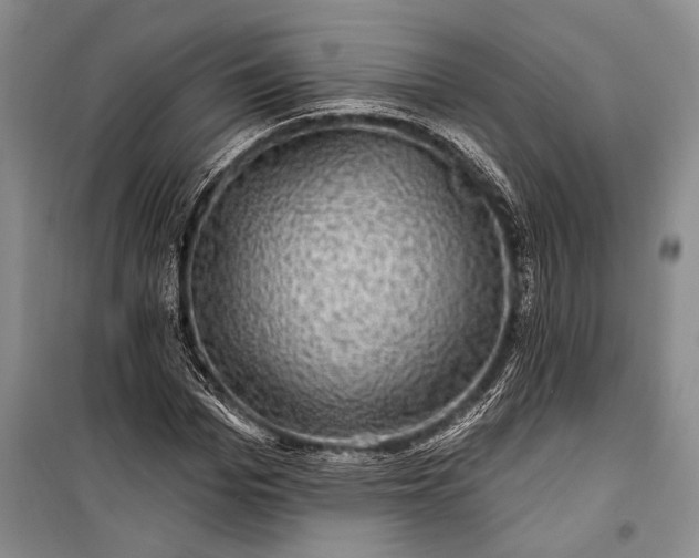 X0000100210969200806131248