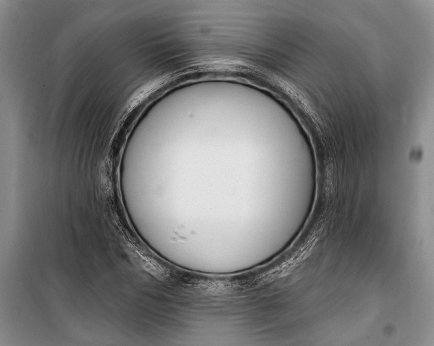 X0000100210970200806131248