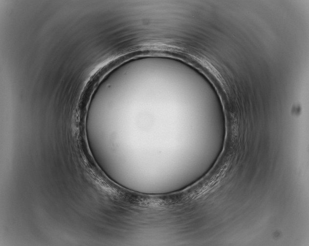 X0000100210971200806131248