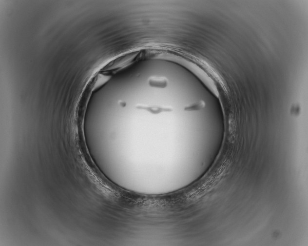 X0000100210972200806131248