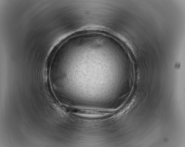 X0000100210973200806131248