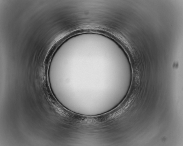 X0000100210974200806131248