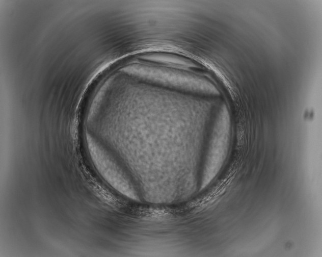 X0000100210975200806131248