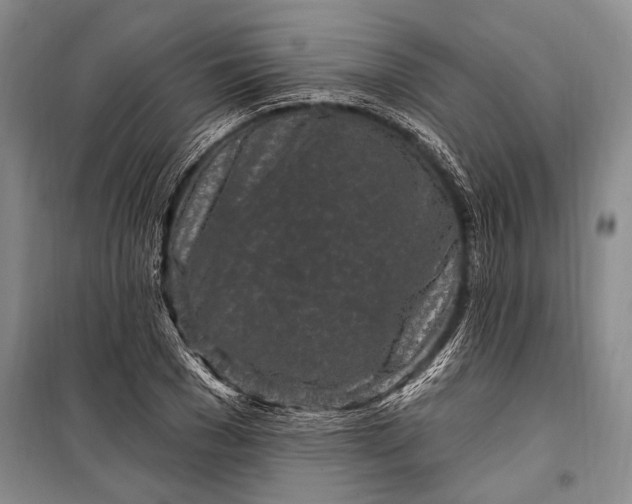 X0000100210977200806131248