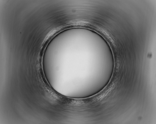 X0000100210978200806131248