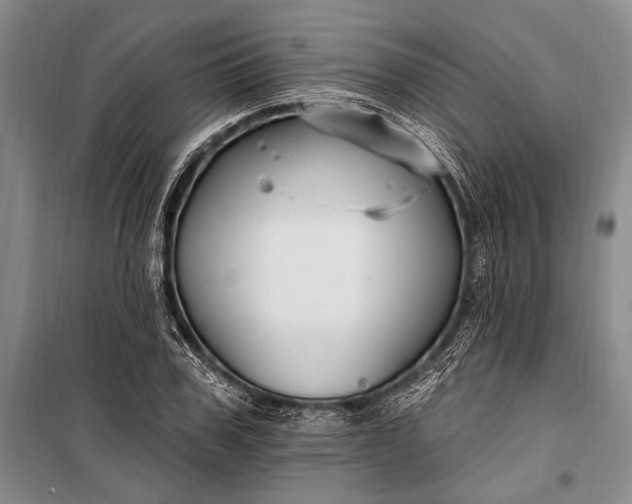 X0000100210979200806131248