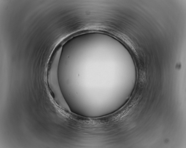 X0000100210980200806131248