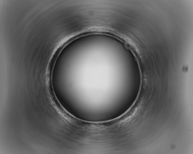 X0000100210981200806131248