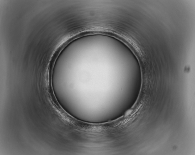 X0000100210982200806131248