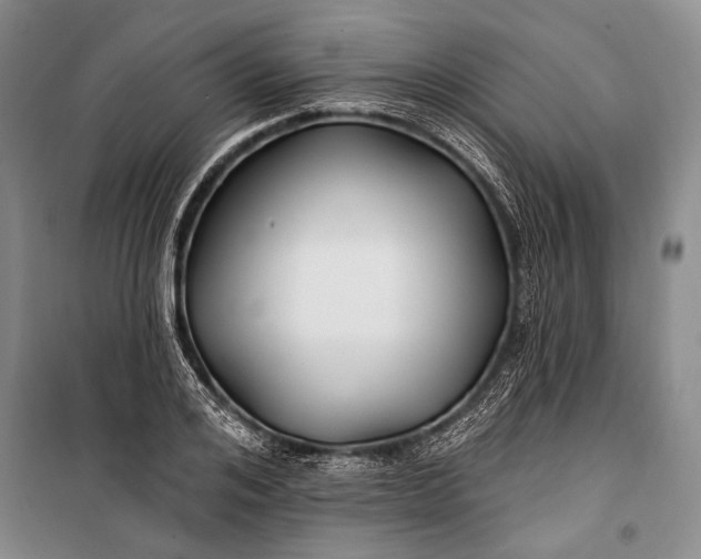 X0000100210984200806131248