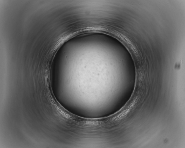 X0000100210985200806131248