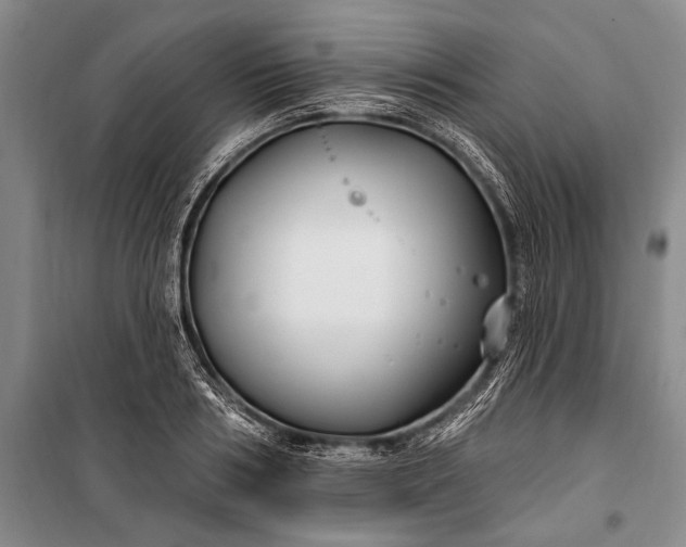 X0000100210986200806131248