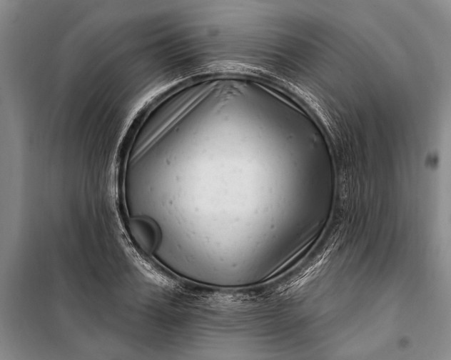 X0000100210987200806131248