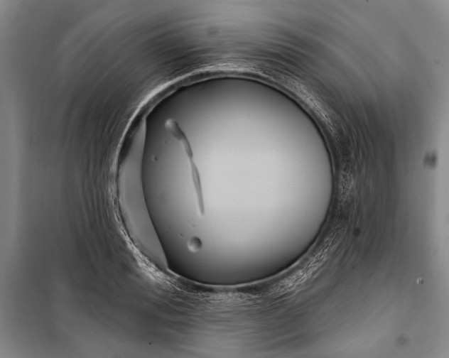 X0000100210988200806131248