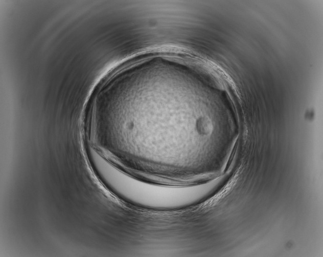 X0000100210989200806131248