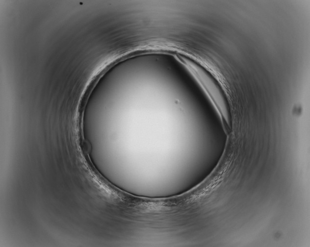 X0000100210990200806131248