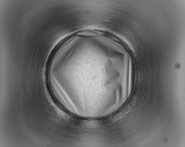 X0000100210991200806131248