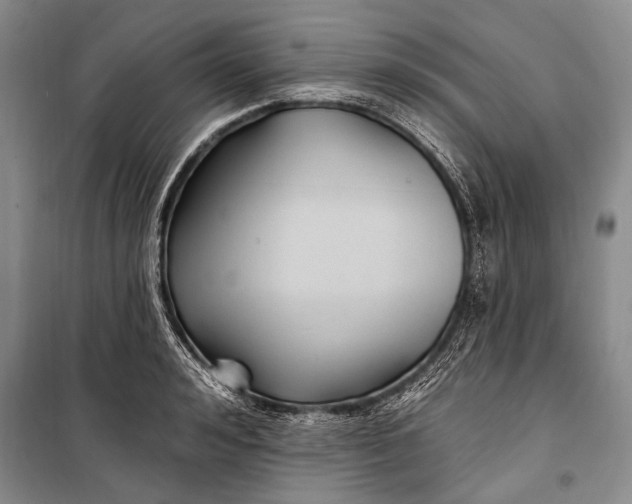 X0000100210992200806131248