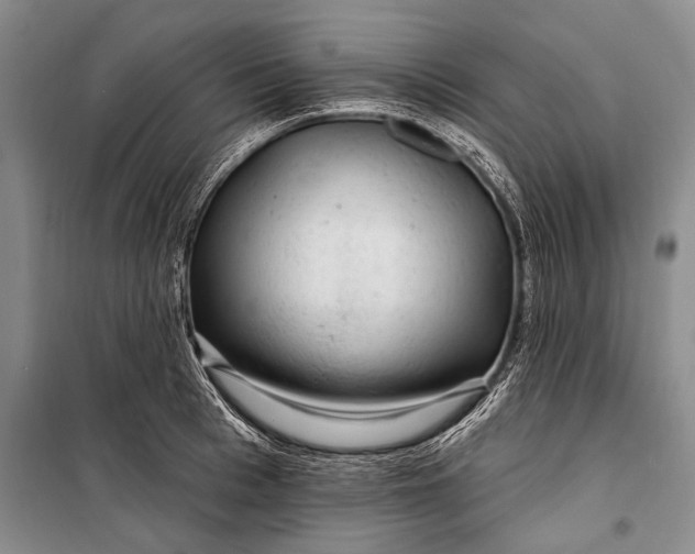 X0000100210993200806131248