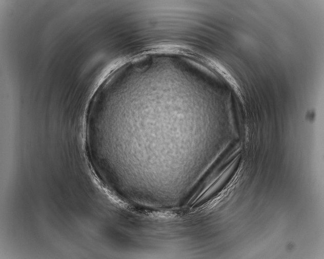 X0000100210994200806131248