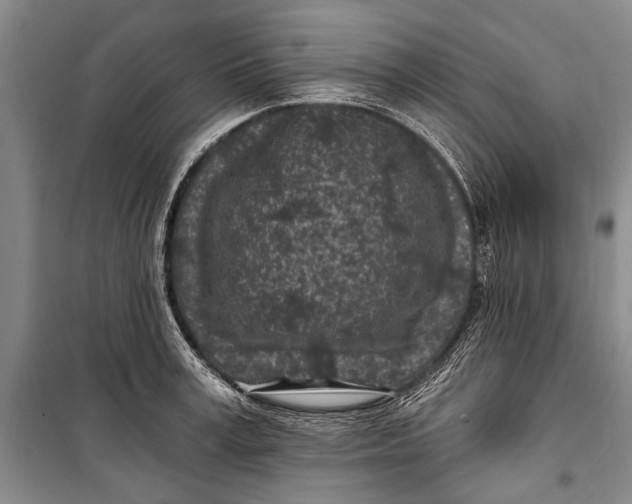 X0000100210995200806131248