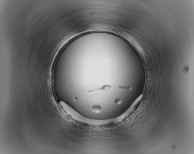 X0000100210996200806131248