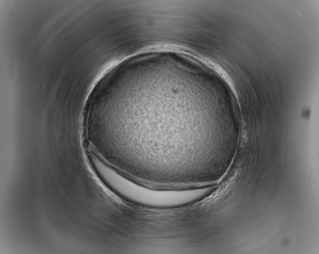 X0000100210997200806131248