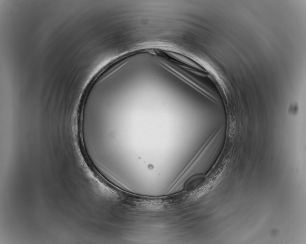 X0000100210999200806131248