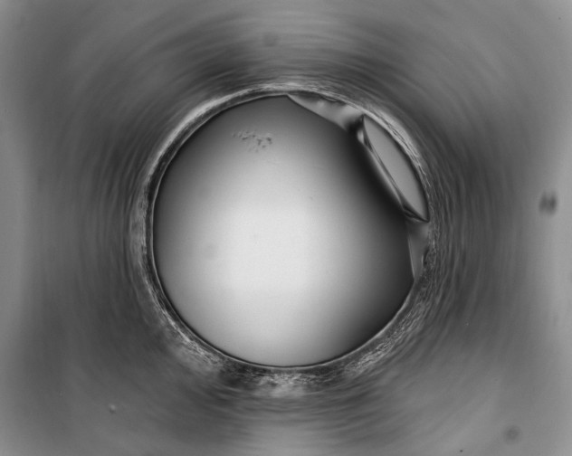 X0000100211000200806131248