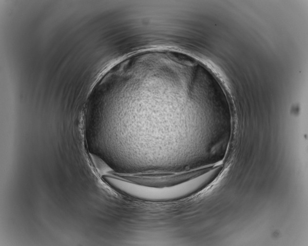 X0000100211001200806131248