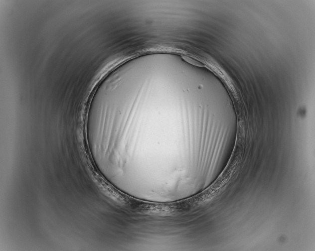 X0000100211002200806131248