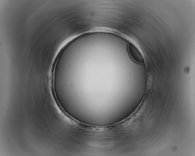 X0000100211003200806131248