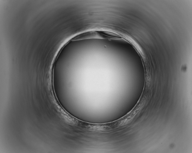 X0000100211004200806131248