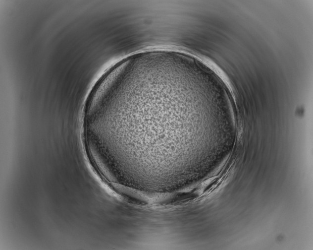 X0000100211005200806131248